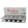 Pyridox Tablet