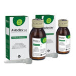 Avloclav Suspension 100 ml
