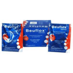 beuflox-250-oral-powder