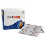cartibon-tablet