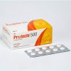 protecto-500-tablet