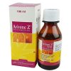 Aritone Z Syrup 100 ml