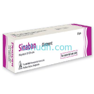 Sinaban Ointment 10 gm