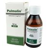 Pulmolin Syrup 100 ml