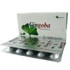 Gingoba 60 Capsule