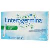 Enterogermina