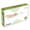 flamfix-500