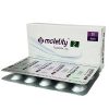 motelity-2