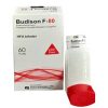budison-f-80